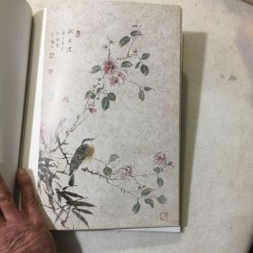 孙振花鸟画