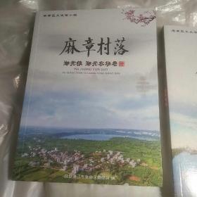 麻章区文史第十辑 麻章村落（湖光镇 湖光农场卷、太平镇卷、麻章镇卷共3本合售）