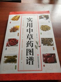 实用中草药图谱