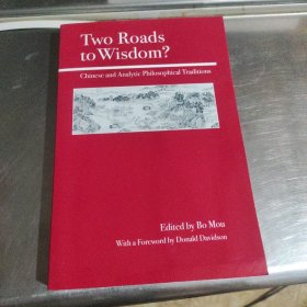 英文原版中國哲學研究 Two Roads to Wisdom：Chinese and Analytic Philosophical Traditions