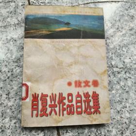 肖复兴散文自选集