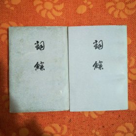 词综 (上，下)