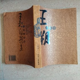 王朔自选集