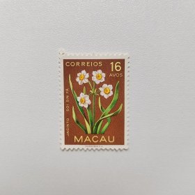 澳门邮票 1953年植物花卉水仙花 新票1枚 如图无胶