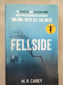 Fellside  英文原版 16开