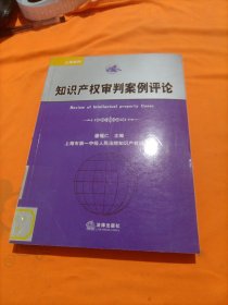 知识产权审判案例评论