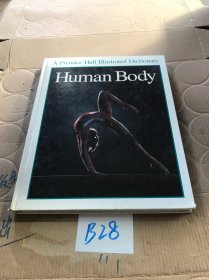 human body