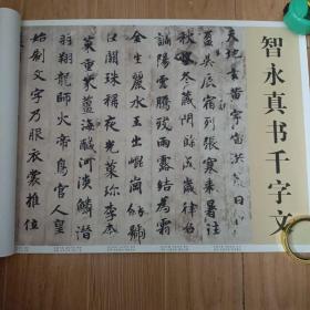 智永真书千字文