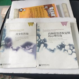 药物使用者恢复期的心理咨询、青少年咨询一2本合售