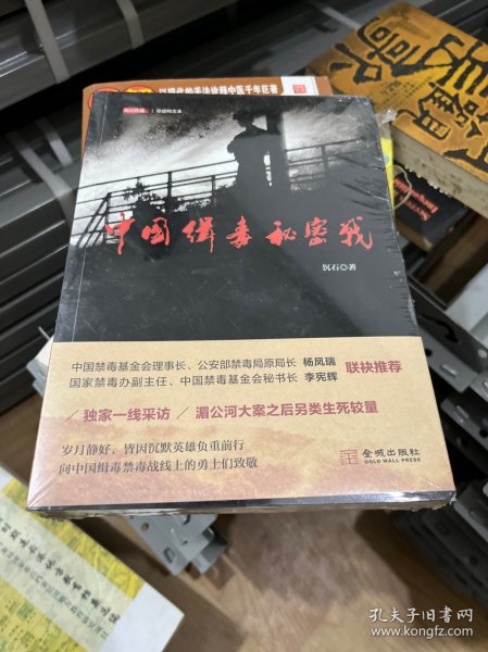 中国缉毒秘密战：当代缉毒禁毒大纪实