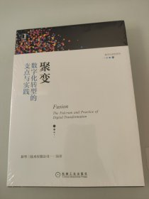 聚变：数字化转型的支点与实践