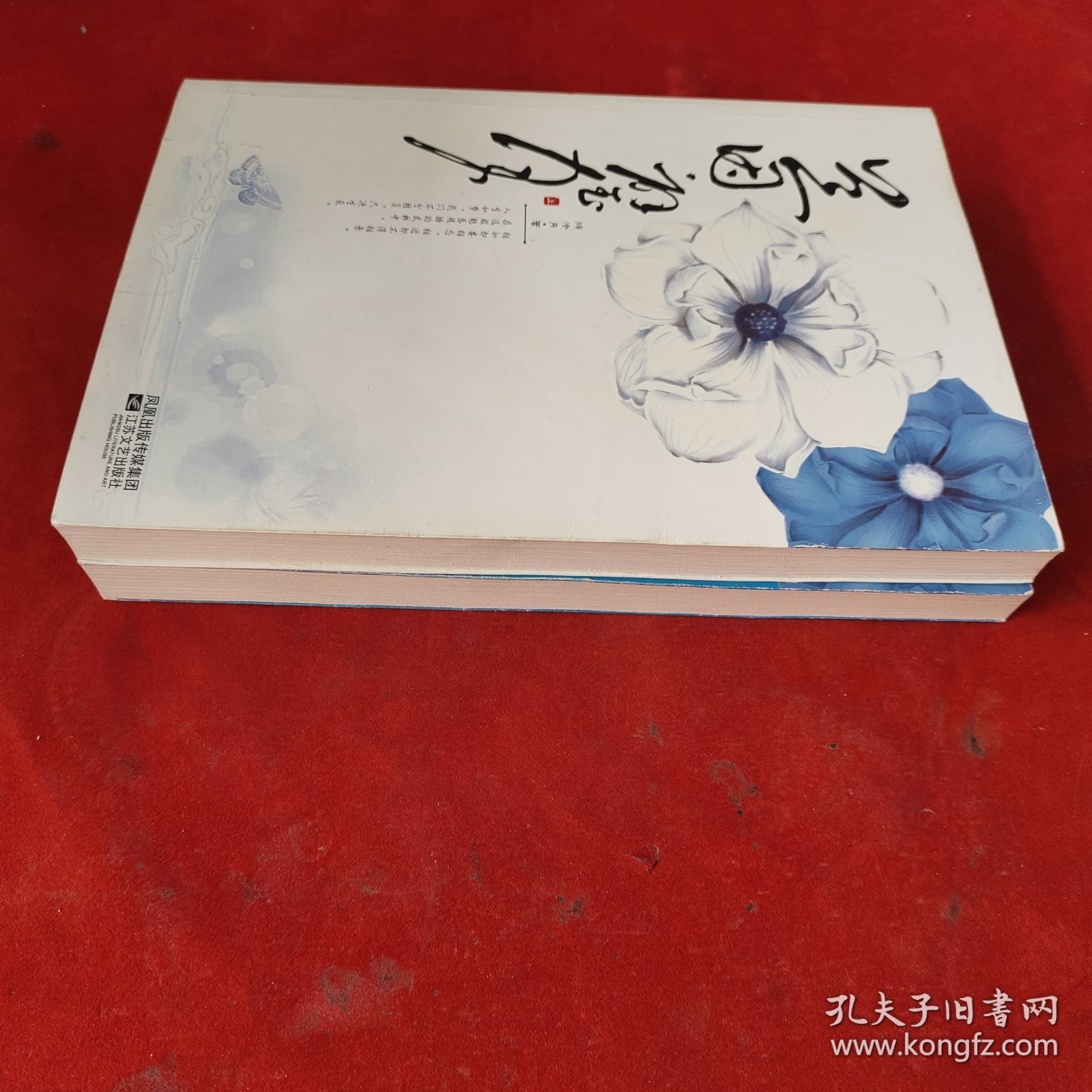 兰因·壁月 上下
