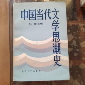 中国当代文学思潮史