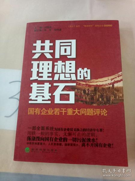 共同理想的基石：国有企业若干重大问题评论