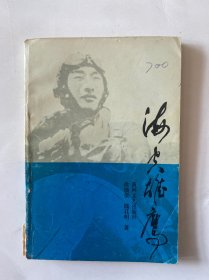 海空雄鹰