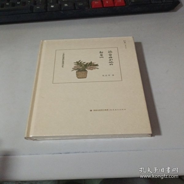 苏雪林和她的邻居们：一条街道的抗战记忆