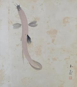 日本回流书画字画山口景泉国画《鱼》