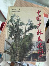 中国少林文化学