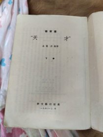翻译小说，天才下册