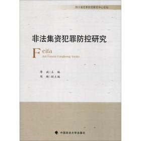非法集資犯罪防控研究