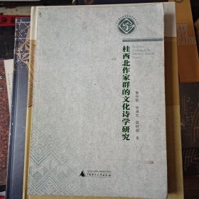 桂西北作家辟的文化诗学研究