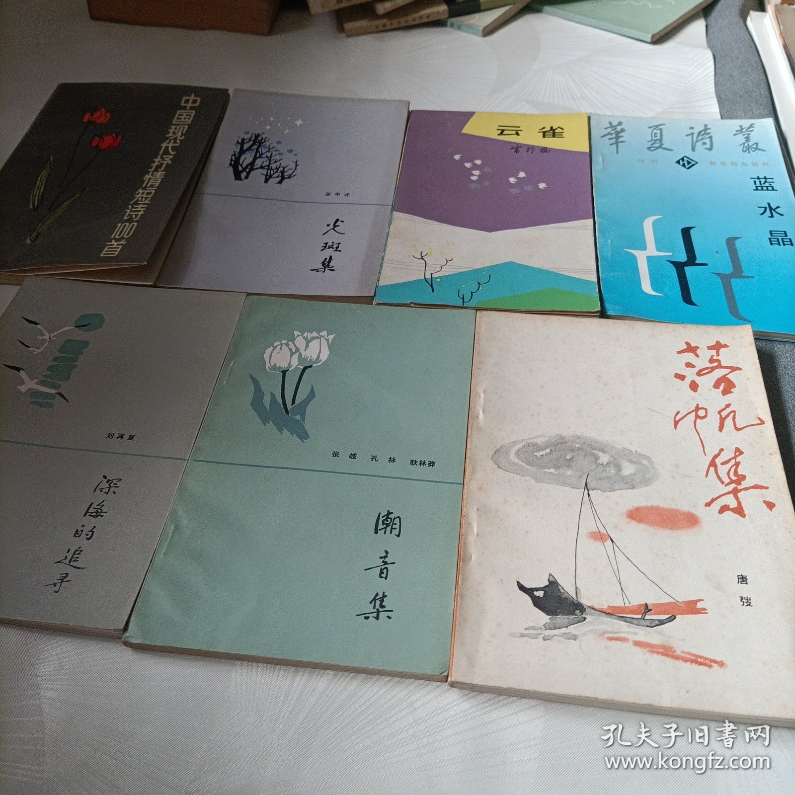 落帆集、潮音集、深海的追寻、蓝水晶、云雀、火斑集、中国现代抒情短诗100首