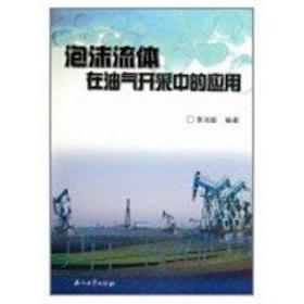 泡沫流体在油气开采中的应用 能源科学 李兆敏  新华正版