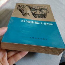 台湾中篇小说选