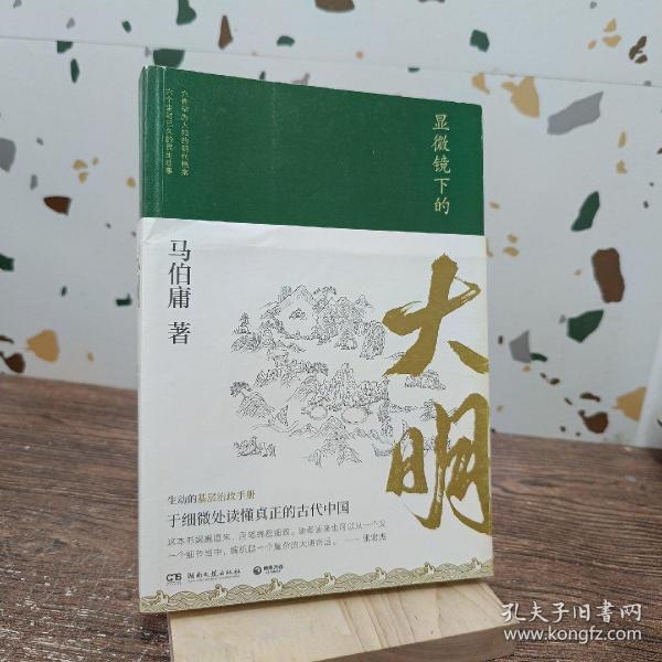 显微镜下的大明（马伯庸全新作品）