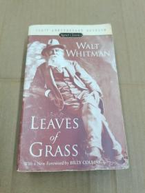 Leaves of Grass