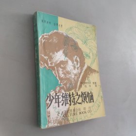 少年維特之煩惱