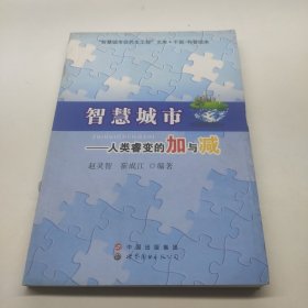 智慧城市 人类睿变的加与减
