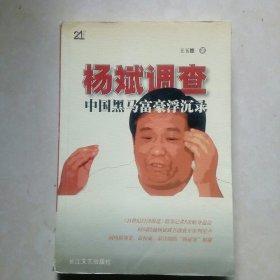 杨斌调查 中国黑马富豪浮沉录