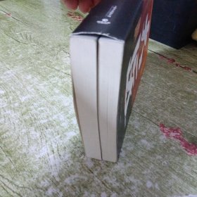 大医·日出篇：全两册