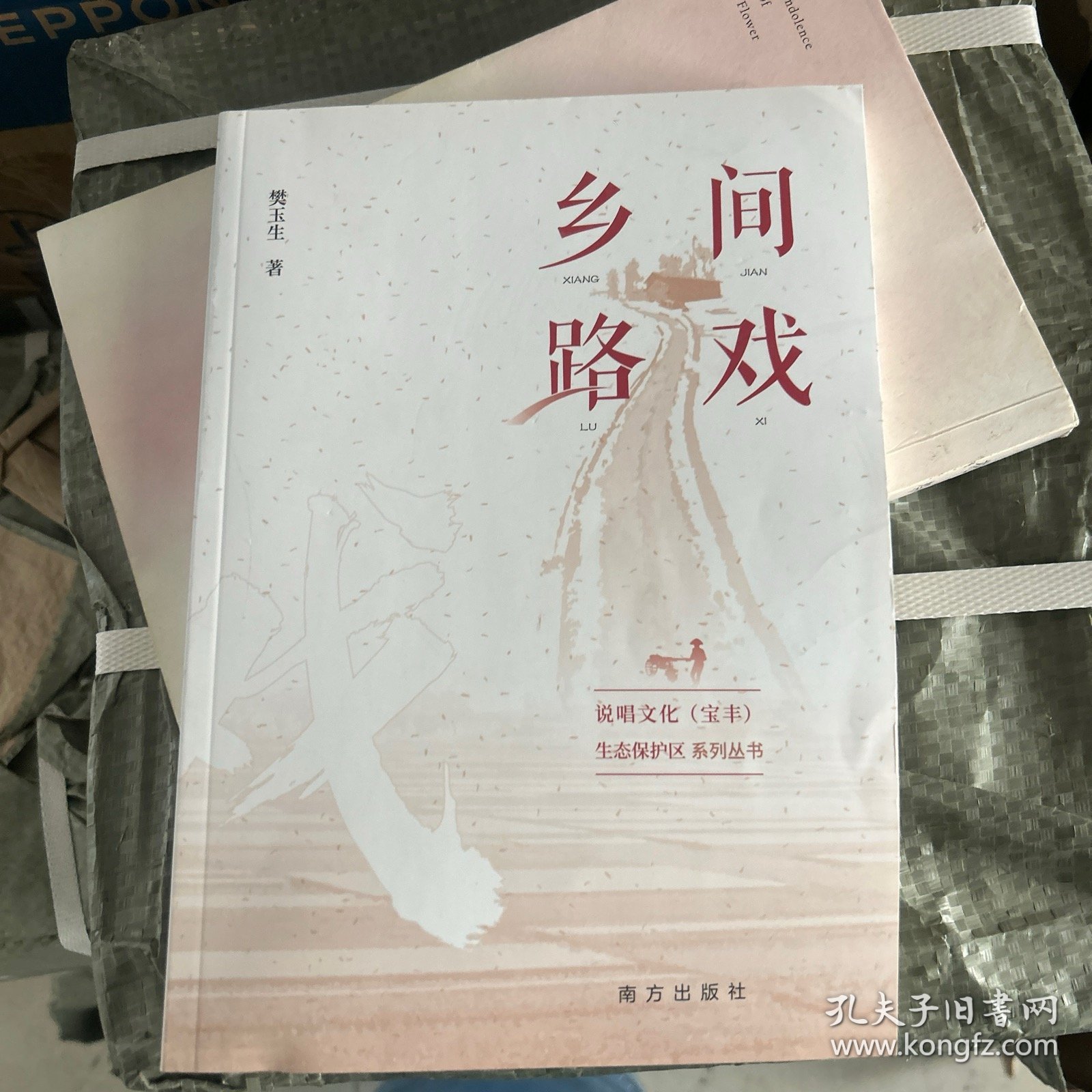 乡间路戏/说唱文化宝丰生态保护区系列丛书