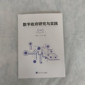 数字政府研究与实践（一）