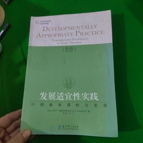 发展适宜性实践