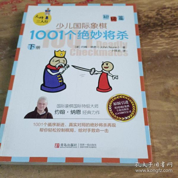 大师三人行：少儿国际象棋初级篇：1001个绝妙将杀（上下册）