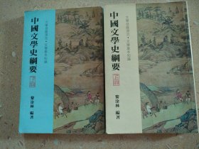 中国文学史纲要 上下册