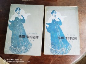 安娜.卡列尼娜