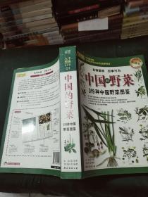 中国的野菜_319种中国野菜图鉴(16开)