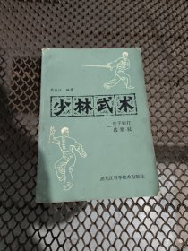 少林武术一连手短打、达磨仗