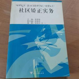 社区矫正实务