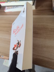 Redis核心原理与实践