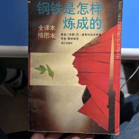 钢铁是怎样炼成的