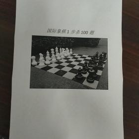 国际象棋1步杀100题