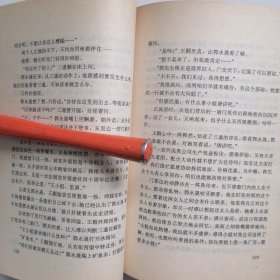 纸项链：布老虎丛书