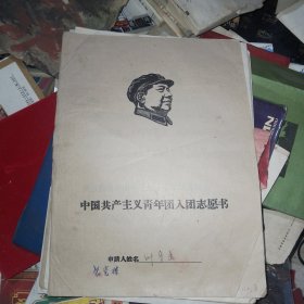 入团志愿书