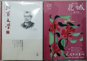 《北京文学》2024年第6期，《花城》2025年第1期2册合售（陈建功长篇《我们脏的时候》——《请在我们脏的时候爱我们》，辽京短篇《肾上腺素》王蒙中篇《夏天的念想》等）