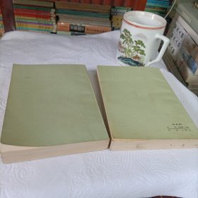 荡寇志(共两册)